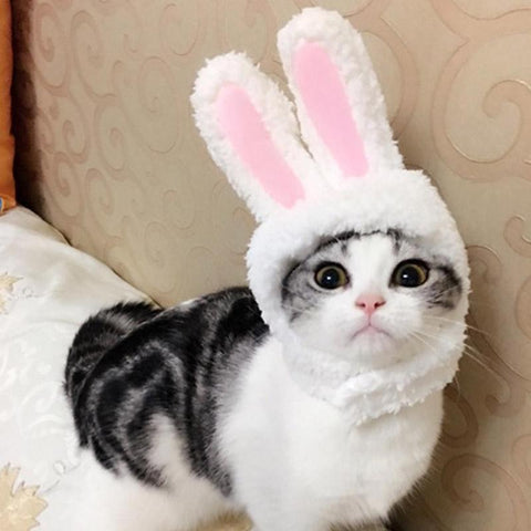 Cat Bunny Ears Costume