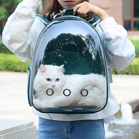 Transparent Bubble Cat Backpack