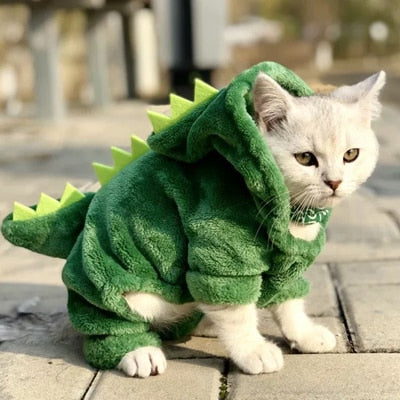 Plush Dinosaur Lizard Cat Costume