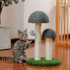 Mushrooms in the Grass Cat Scratcher Posts
